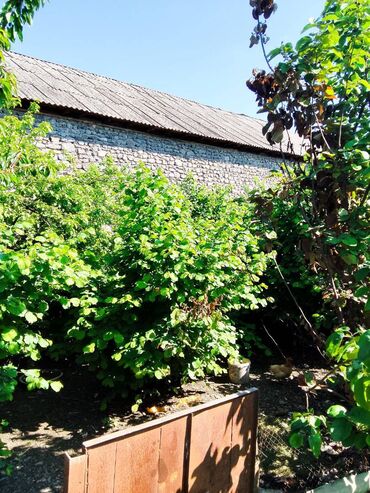 Həyət evləri və villaların satışı: 5 otaqlı, 24 kv. m, Kredit yoxdur, Orta təmir — 16