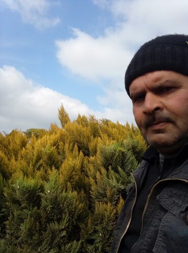 Bağbanlar: Bağ işləri ağac və kolların budanması,şəkilləndirməsi dərmanlara qazon -da lalafo.az — 4 Bağbanlar: Bağ işləri ağac və kolların budanması,şəkilləndirməsi dərmanlara qazon — 4