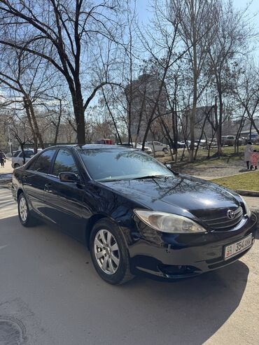 Toyota: Toyota Camry: 2002 г., 2.4 л, Автомат, Бензин, Седан