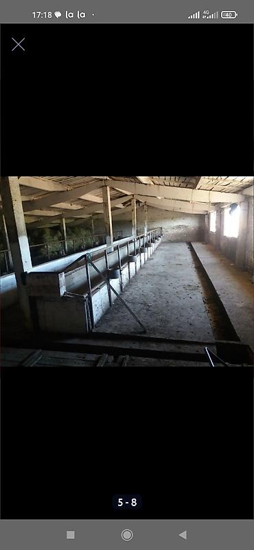 Продажа другой коммерческой недвижимости: Срочно продается кошара.( в 7 км от трасы Бишкек Кара- Балта ) 40 — 8