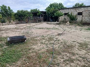 kohne baki: 17 sot, Kənd təsərrüfatı, Kupça (Çıxarış) — 7