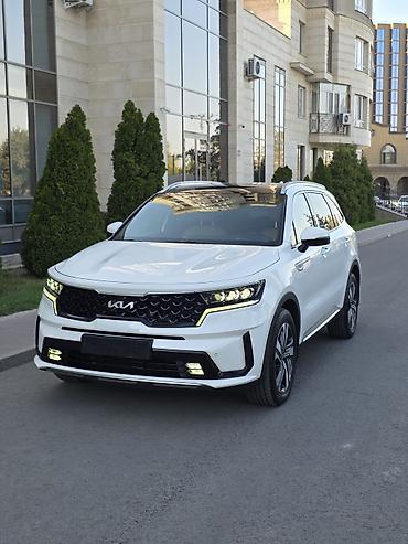 Kia: Kia Sorento: 2022 г., 1.6 л, Автомат, Гибрид, Кроссовер — 26