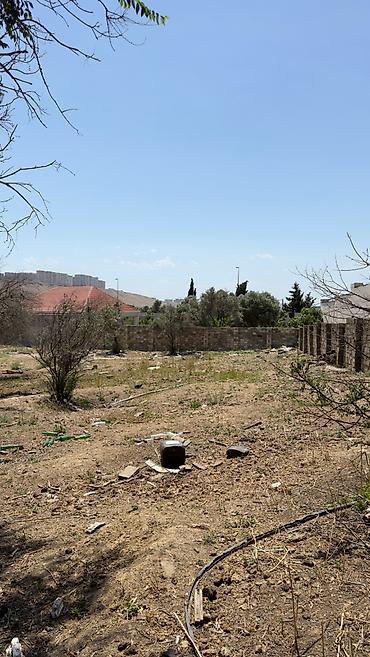 Torpaq: Binəqədi rayonu Xocasən qəsəbəsində 8 sotdan çox torpağ satılır sənədi — 3