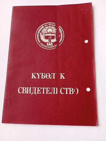 одежда 18: Продается земля. 3,15га багара, в Тюпском р.н. на хребте Просим 750000 — 1