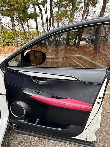 Lexus: Lexus NX: 2019 г., Гибрид, Кроссовер — 20