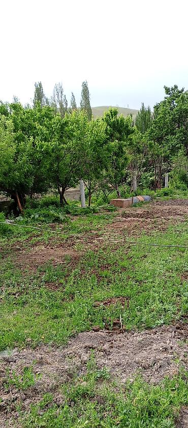 участок камин: Үй сатылат кызыл китеби бар 3комнат 5 сотых жери таза суу суугат суусу — 2