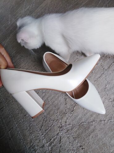 cat обувь: Туфли Filipe Shoes, 36, цвет - Белый