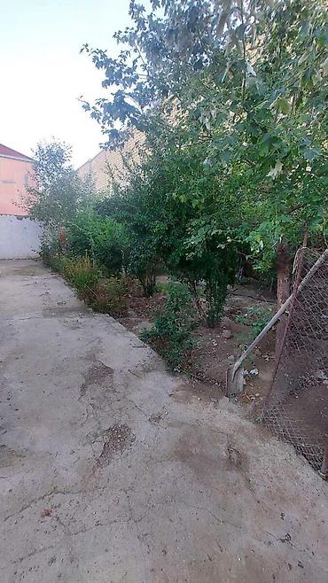 imisli ev elanlari: Masazır 3 otaqlı, 100 kv. m, Kredit yoxdur, Orta təmir — 9