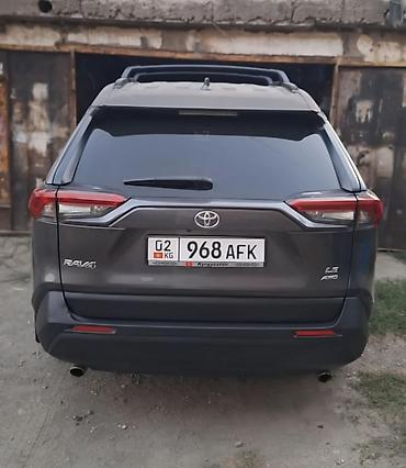 apollo solo: Toyota RAV4: 2019 г., 2.5 л, Автомат, Бензин, Кроссовер — 2