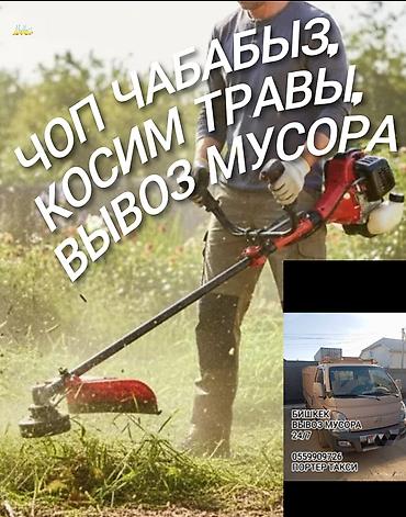 скарификатор: Уборка территории, Стрижка газона — 6