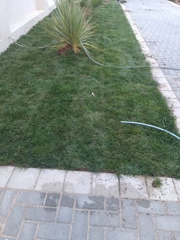 Toxumlar: Qazon çatrlma qurasdrma
#qazon
qazonsatişi
#qachon
#qazon — 5