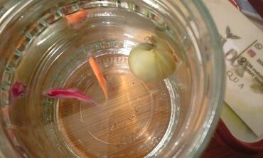 Akvariumlar: Salam! 1 şəkil -Akvarium - 35 manata 40 idi 2 şəkil -filtr - 16 -da lalafo.az — 6 Akvariumlar: Salam! 1 şəkil -Akvarium - 35 manata 40 idi 2 şəkil -filtr - 16 — 6