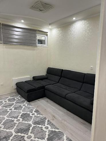 Долгосрочная аренда квартир: 2 комнаты, С мебелью полностью — 13