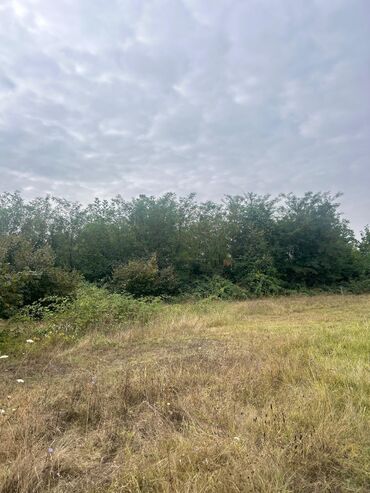 Torpaq sahələrinin satışı: 110 sot, Tikinti — 15