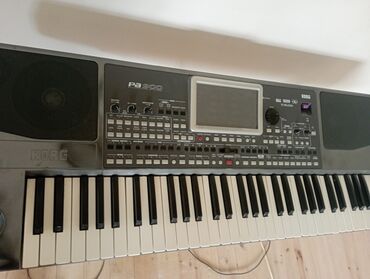 idman və hobbi: Sintezator, Korg, İşlənmiş