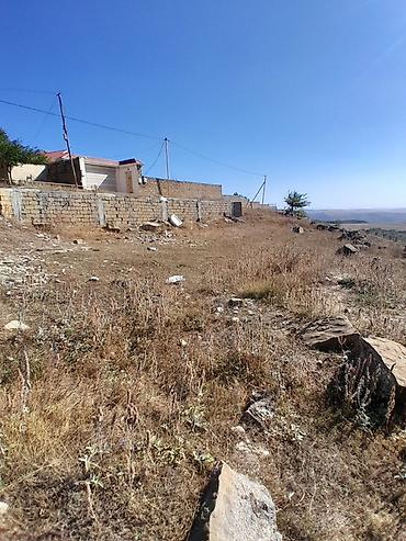 ev elanlari kirayə: 12 sot, Tikinti, Barter mümkündür, Kupça (Çıxarış) — 1