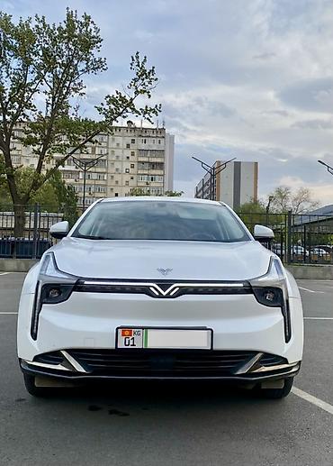 Hozon: Hozon Neta U-II: 2023 г., 0.1 л, Автомат, Электромобиль, Кроссовер — 1