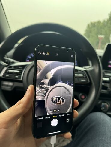 Apple iPhone: IPhone 12 Pro, 256 ГБ, Графит, Кабель