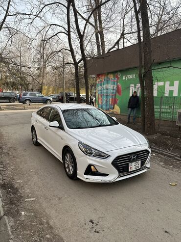 Hyundai: Hyundai Sonata: 2017 г., 2 л, Автомат, Газ — 2