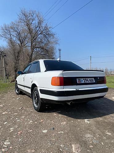 Audi: Audi 100: 1993 г., Седан — 6