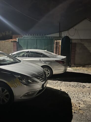 дополнительная фара: Hyundai Sonata: 2012 г., 2 л, Автомат, Газ, Седан