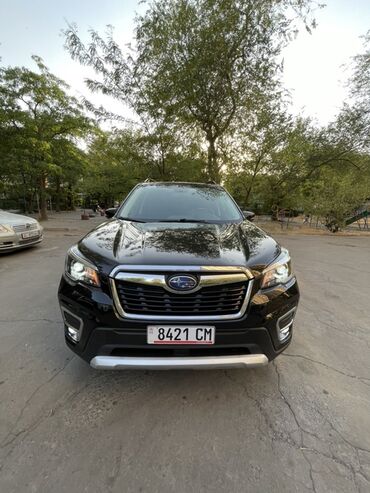 туманник форестер: Subaru Forester: 2021 г., 2.5 л, Вариатор, Бензин, Кроссовер