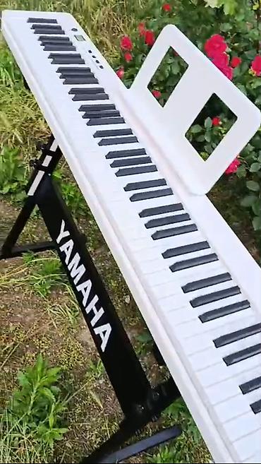 Digər: Piano kursuna başlayanlar üçün,Piano müəllimləri üçün uyğundur — 6