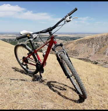 гравийные велосипеды: Горный велосипед, Trek, Рама M (156 - 178 см), Алюминий, Б/у