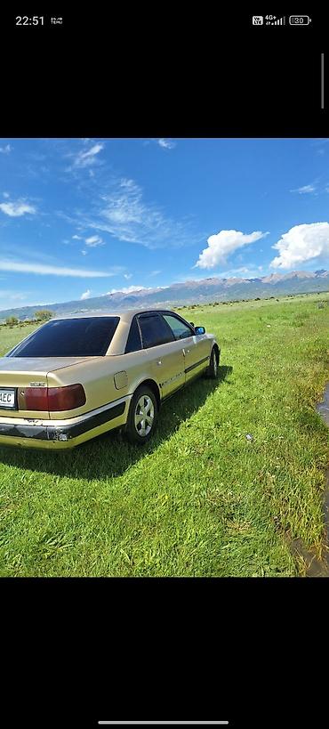 аудио техника: Audi 100: 1994 г., 2.3 л, Механика, Бензин, Седан — 4