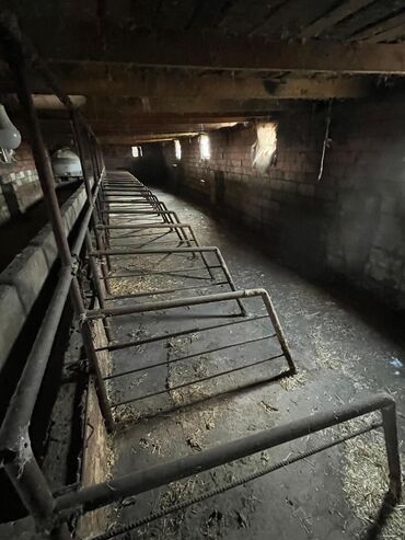 Torpaq sahələrinin satışı: Kənd təsərrüfatı — 6