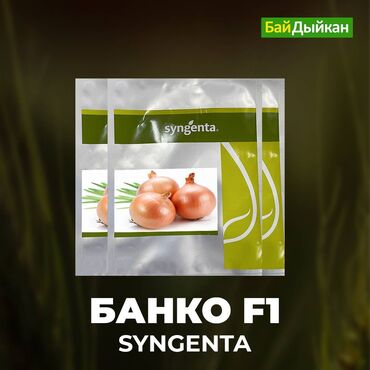 семена павловнии: Семена Лука Банко F1 - Syngenta • лук Испанского типа •