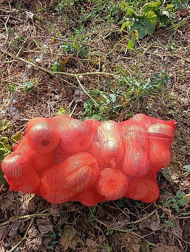 Молочные продукты: Помидоры Сливки — 1