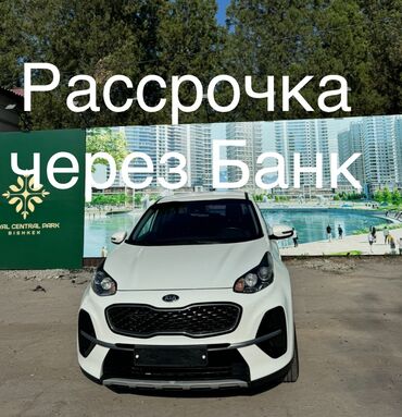 Kia: Kia Sportage: 2019 г., 1.6 л, Автомат, Дизель, Хэтчбэк
