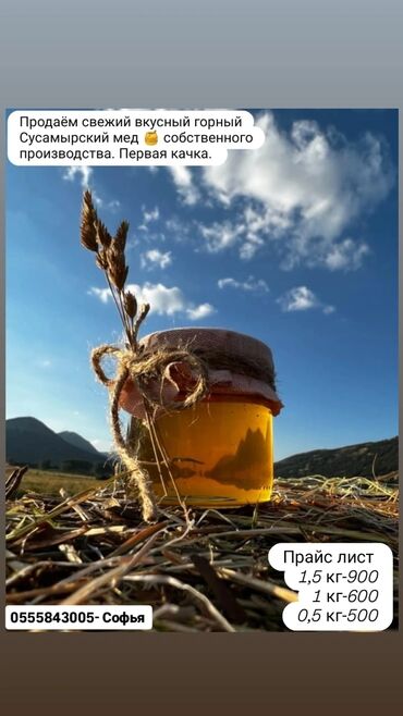 мебель для дома: ПРОДАЮ СУУСАМЫРСКИЙ МЕД 🍯 
ПЕРВАЯ КАЧКА
