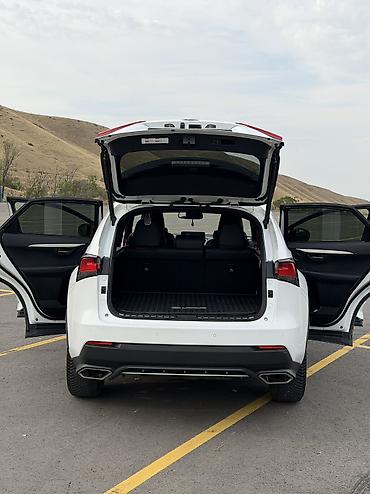 Транспорт: Lexus NX: 2018 г., 2 л, Автомат, Бензин, Кроссовер — 10