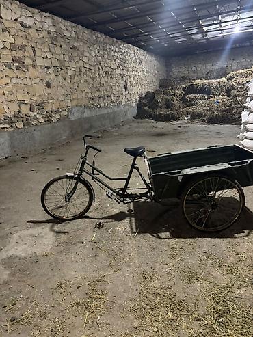 radius az: Az işlənmişdir demək olarki yenidir real alıcılar narahat etsin qiymət — 3