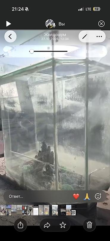 Аквариум из стекла, прямоугольной формы, с прозрачными швами. -