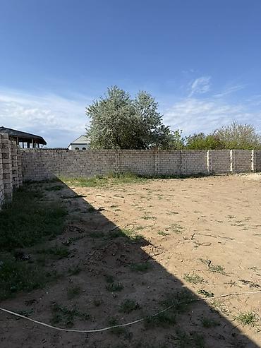 massive: 5 sot, Tikinti, Kupça (Çıxarış) — 4