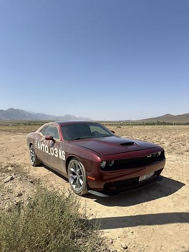 го парк: Dodge Challenger: 2020 г., 3.6 л, Автомат, Бензин, Купе — 8