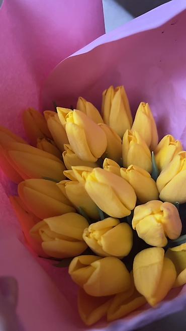 Букеты из живых цветов: ГОЛЛАНДСКИЕ ТЮЛЬПАНЫ К 8 МАРТА 🌷 Высота 60–70 см - крупные бутоны at lalafo.kg — 7 Букеты из живых цветов: ГОЛЛАНДСКИЕ ТЮЛЬПАНЫ К 8 МАРТА 🌷 Высота 60–70 см - крупные бутоны — 7