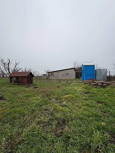 Prodaja zemljišta: Plac Ugrinovci centar, 110 ari + voćnjak Uknjižen 1/1 na ime vlasnika — 10