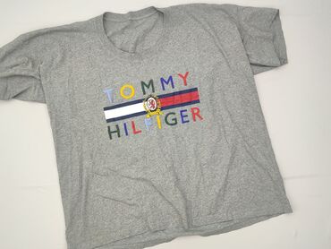 koszulka wojan team allegro: T-shirt for men, 2XL (EU 44), Tommy Hilfiger, condition - Perfect