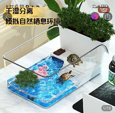 Прозрачный террариум-акватеррариум для водных черепах+4водных черепах