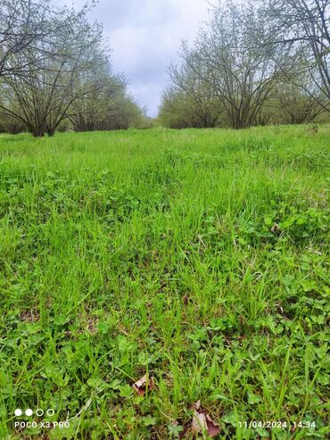 Torpaq sahələrinin satışı: 18 sot, Tikinti, Mülkiyyətçi, Kupça (Çıxarış) — 9