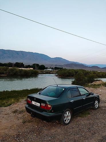 p11: Nissan Primera: 1997 г., 2 л, Механика, Бензин, Седан — 3