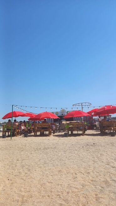 Marketinq, Reklam və PR: Ofisiant tələb olunur, Yeməkxana, Gündəlik ödəniş, 18-29 yaş, 1-2 illik təcrübə