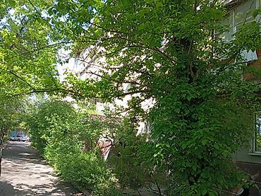 Продажа квартир: 2 комнаты, 47 м², Индивидуалка, 5 этаж, Косметический ремонт — 4