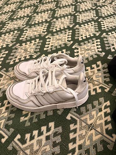 adidas campus: Кожа оригинал адидас Кроссовки adidas Originals, белого цвета. На — 1