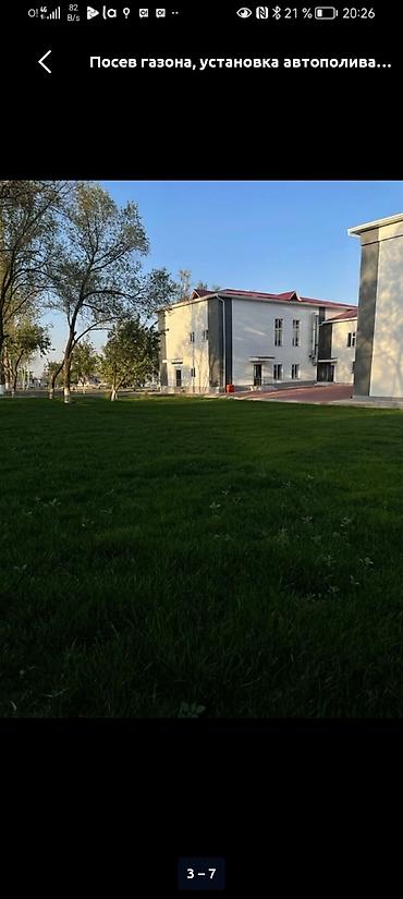 скарификатор: Посев газона и установка автополива под ключ. Что делаем: - — 4