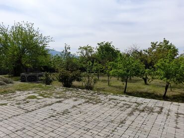 Günlük kirayə evlər: 250 kv. m, 5 otaqlı, İşıq, Su, Telefon -da lalafo.az — 15 Günlük kirayə evlər: 250 kv. m, 5 otaqlı, İşıq, Su, Telefon — 15